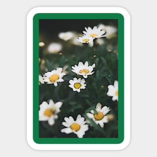 White and Yellow Flowers Sticker